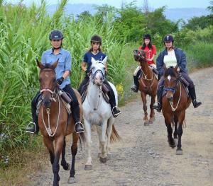holiday agriturismo in napoli Italy 49